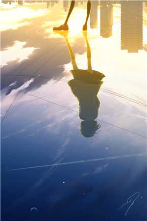 晚景无星陈晚林闻景完结版小说