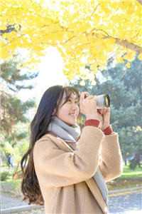 宏图美人志已完结