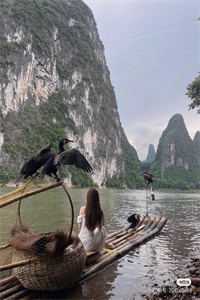 霜无彼岸