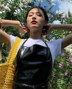 南辕北辙全文赢宣扶苏