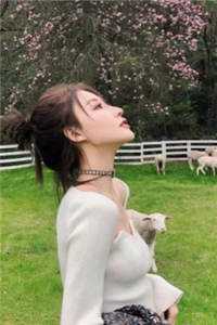 禁欲太子爷卸下伪装后，娇娇腰酸了姜予惜秦湛全文
