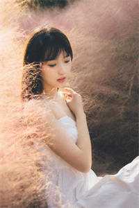 小说梨花葬于盛夏(方梨顾瑾行)