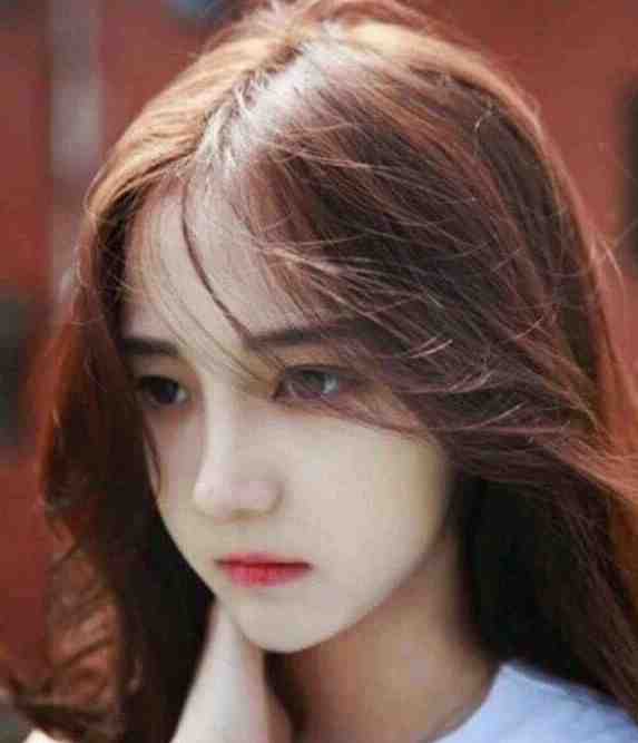 撩错人后沈栀柔