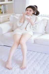 林如海重生之护女周全