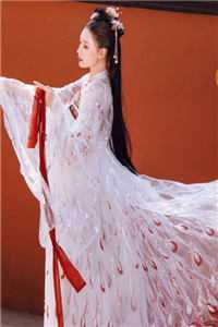 星火燎原：乡村女王七七传