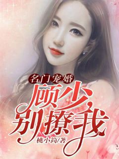 望不穿月影西沉后续+完结