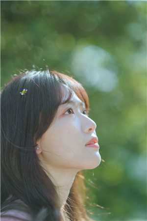 惊冷漠少卿大人竟是蝶妖