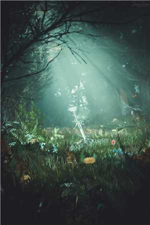 镜中花，水中月