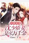 山海再无相逢叶槿江凯全章节小说