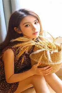 陈斌高婉君写的小说桃色仕途