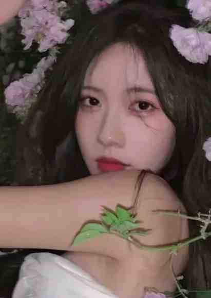 恶毒女配走到大结局后大结局