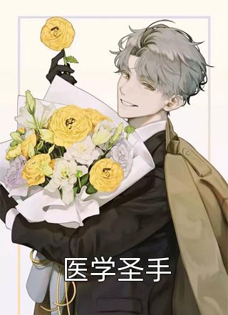 女总裁的冒牌老公无弹窗