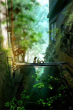 雨送黄昏花易落小说全文免费阅读