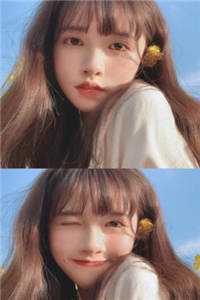 又一个寂寞冬夏全章节