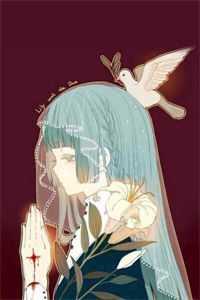 愿我如星君如月免费看