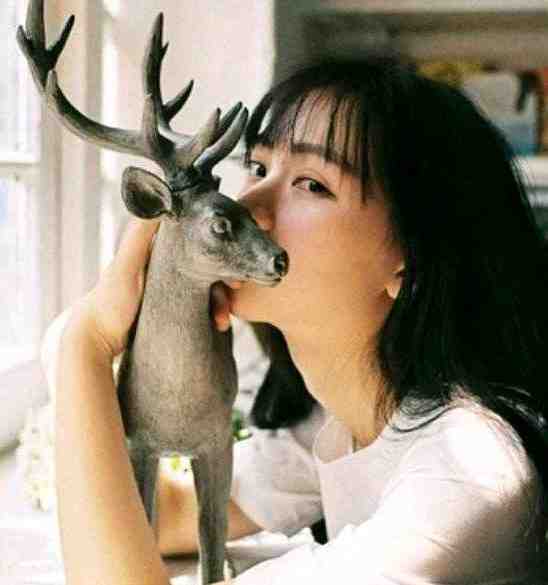 官婿美人香结局+番外