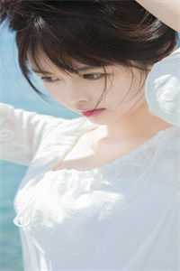 美女市长的首席男秘小说杨烨空