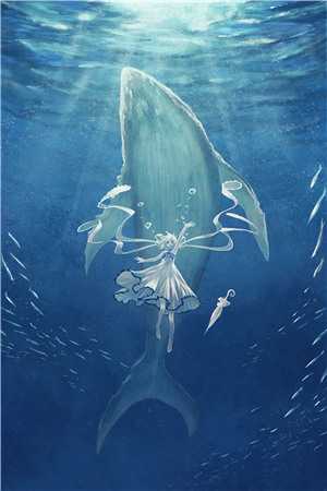 小说流年深深深几许周容川阮流苏全章节免费阅读