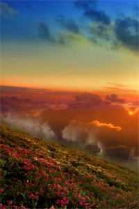 此情落尽不梦君凤霄夕瑶神君完结版小说