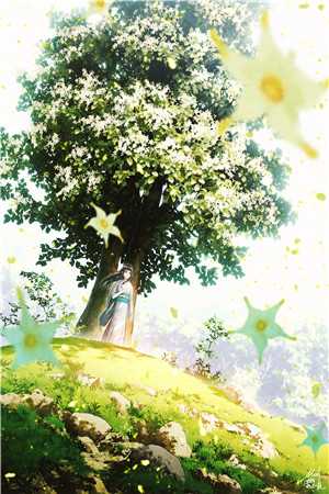 疏雨梧桐浅月朦胧全文小说孟祈年周晓晚最新章节