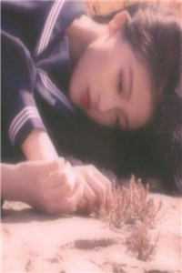 我在豪门军恋中逆转命运