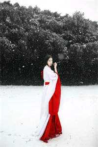 地震推出妻子后，她却先救白月光小说全文免费阅读