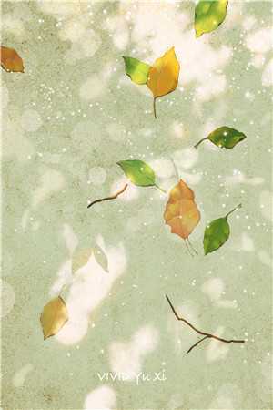 陆凌雪杜琛的小说我生辰那日，长姐出意外了小说阅读
