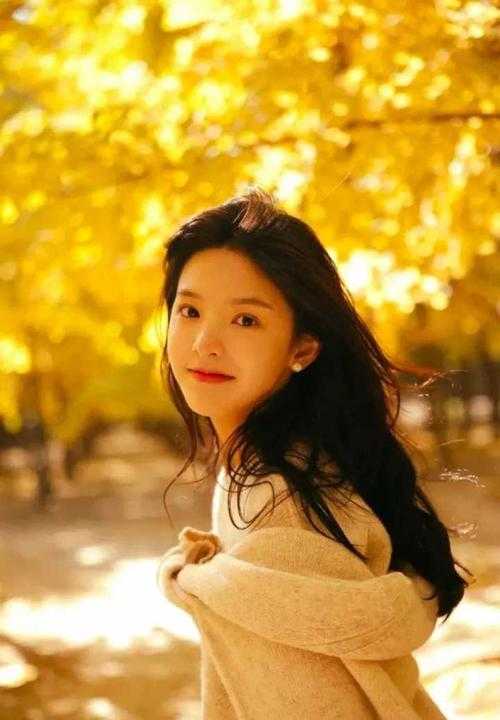 妻子弟弟无证驾驶，却让我背锅谢婉宁王豪小说