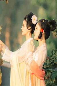 猛龙归来，美女请自重热门