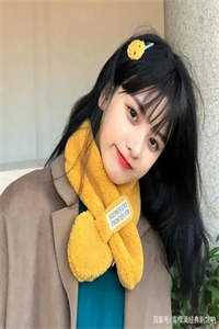 刘志中张宏阳的小说官婿美人香