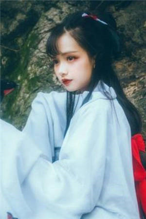 她的夜舞曲全文免费