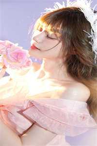 权道之夫人们太给力了在线看