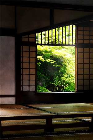 我在暗室书写春诗宋诺秦泽言结局+番外小说