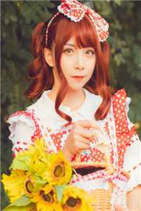 爱随烟花消散完结版池轩苏慧