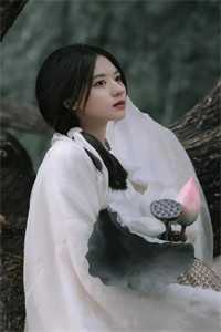 官婿美人香后续