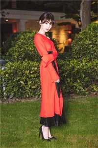 爱与执念皆虚无段野宋妍前文+后续