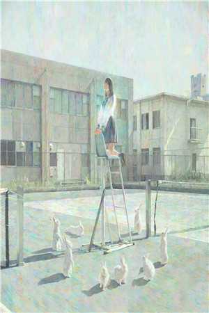 八零院花觉悟高，抛掉丈夫去留洋：韩钊林北雁番外笔趣阁