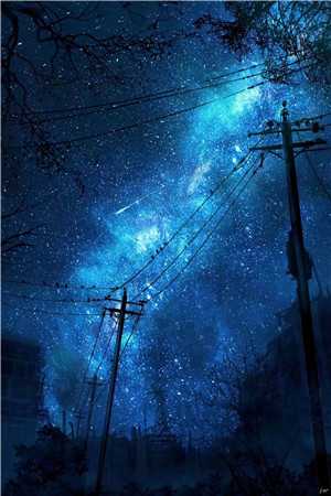 我在暗室书写春诗宋诺秦泽言完结版小说