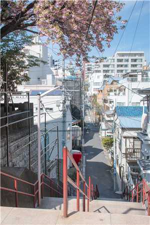 情海沉星难再逢全文+番茄