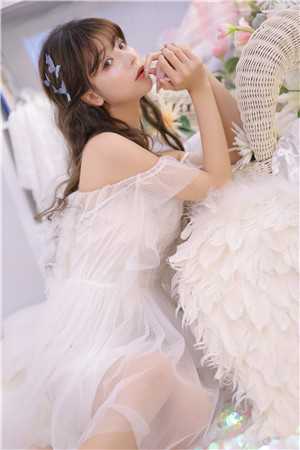 权道之夫人们太给力了畅销