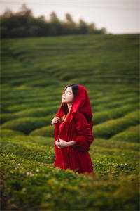 恶毒婆婆复仇记