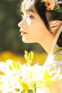 卿卿不语，花落有声已完结版