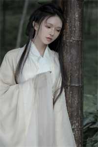官婿美人香全文