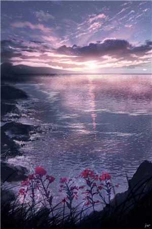 桂花载酒