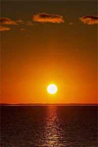 八年付出一场空结局+番外