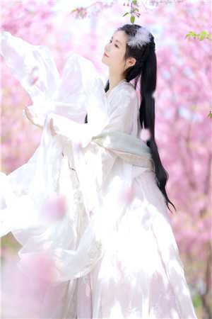 荆棘代码：在轮回里驯服AI男主全文+后续