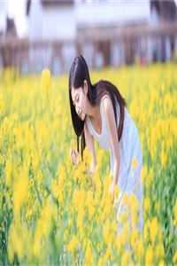 官道十余载乔玉莹萧何吏