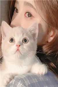 宦海猎手小说结局