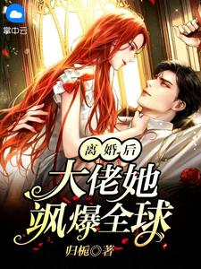 都离婚了！你还叫我夫人干嘛精彩小说