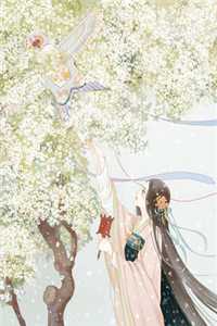 芙蓉静待相思全文免费